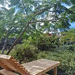 Palacio Eco